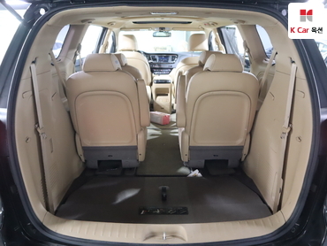 2019 - kia carnival