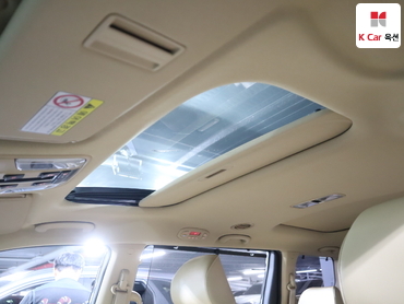 2019 - kia carnival