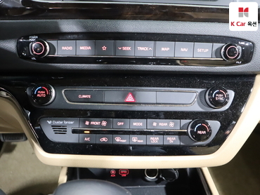 2019 - kia carnival