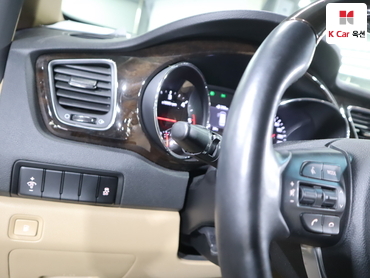 2019 - kia carnival