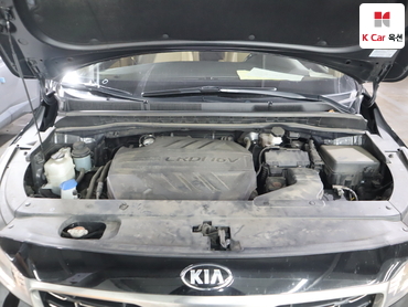 2019 - kia carnival