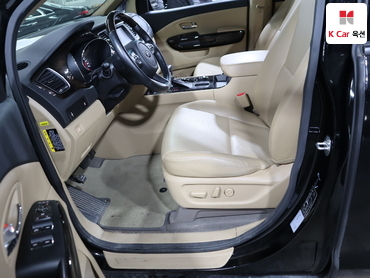 2019 - kia carnival