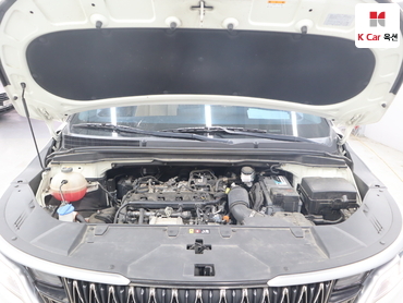 2021 - kia carnival