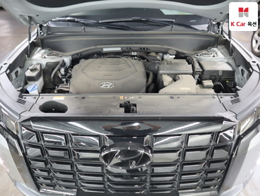 2024 - hyundai palisade