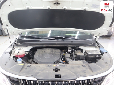 2023 - kia carnival