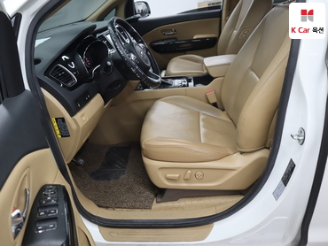 2017 - kia carnival