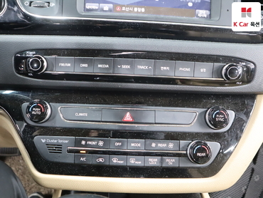 2017 - kia carnival