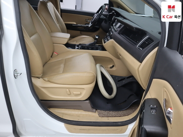 2017 - kia carnival