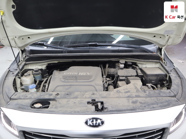 2017 - kia carnival