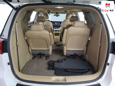 2017 - kia carnival
