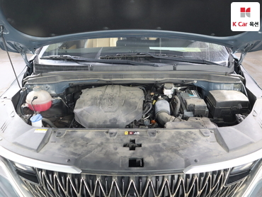 2023 - kia carnival