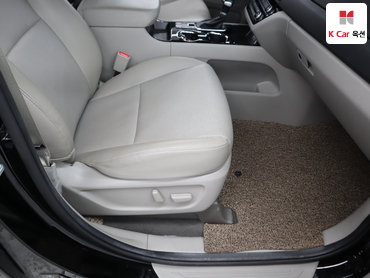 2020 - kia carnival