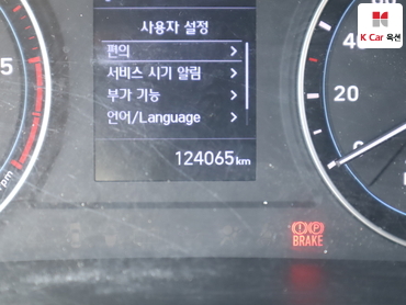2020 - hyundai porter ii