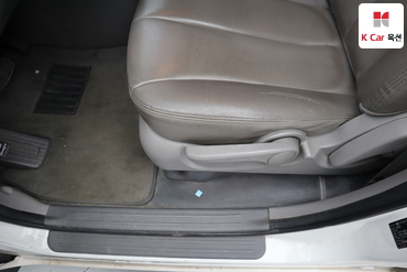 2013 - kia carnival