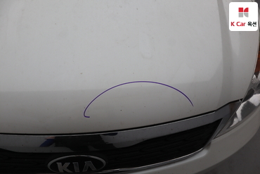 2013 - kia carnival