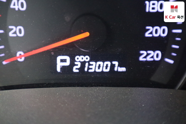 2013 - kia carnival