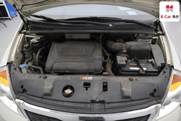2013 - kia carnival