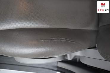 2013 - kia carnival