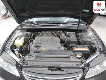 2009 - hyundai grandeur