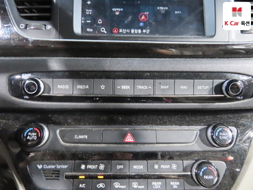 2019 - kia carnival