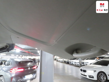2019 - kia carnival