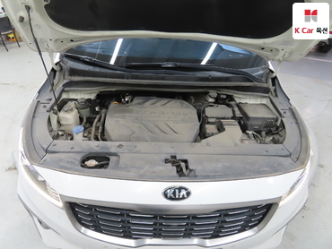 2019 - kia carnival