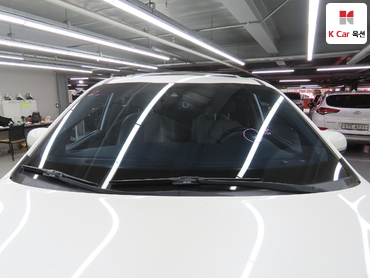 2019 - kia carnival