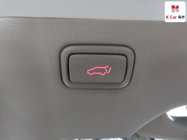 2019 - kia carnival