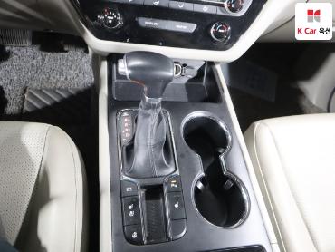 2019 - kia carnival