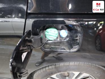 2019 - kia carnival