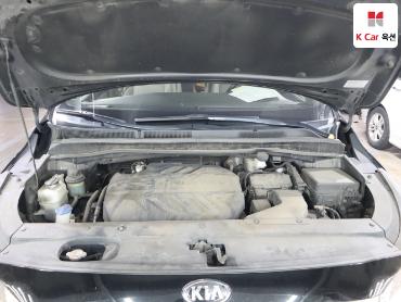 2019 - kia carnival