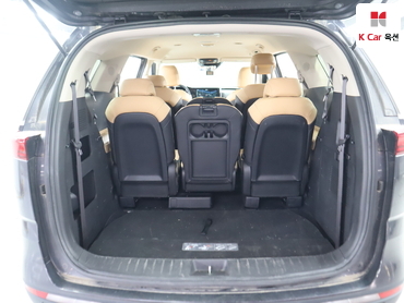 2021 - kia carnival