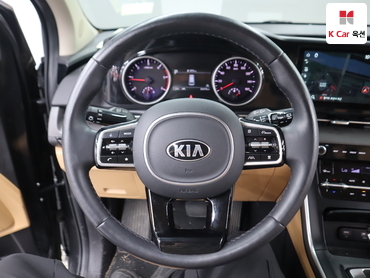 2021 - kia carnival