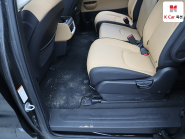 2021 - kia carnival