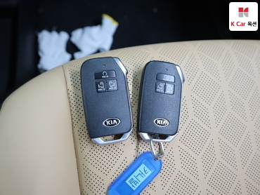 2021 - kia carnival