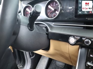 2021 - kia carnival