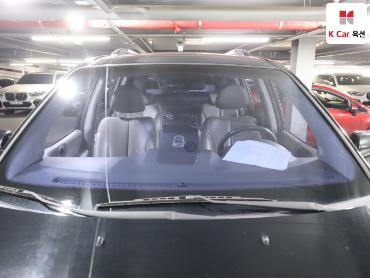 2013 - kia carnival