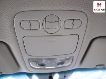 2013 - kia carnival