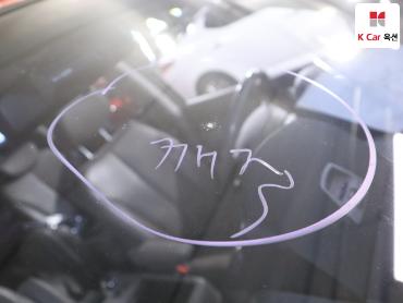 2013 - kia carnival
