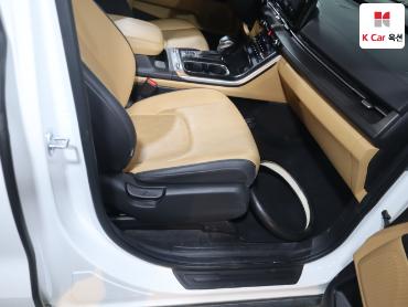 2022 - kia carnival