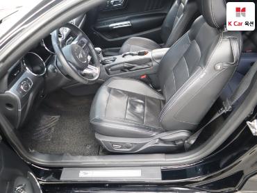2017 - ford mustang