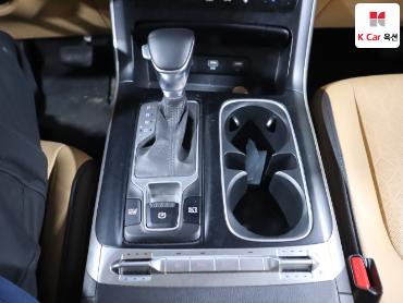 2021 - kia carnival