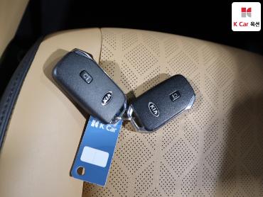 2021 - kia carnival