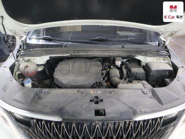 2021 - kia carnival