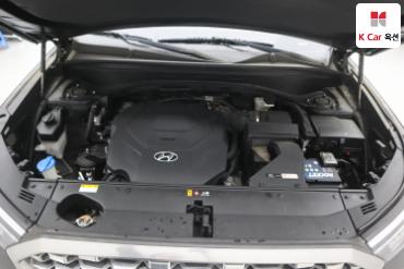 2019 - hyundai palisade