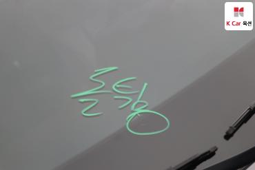2019 - hyundai santa fe