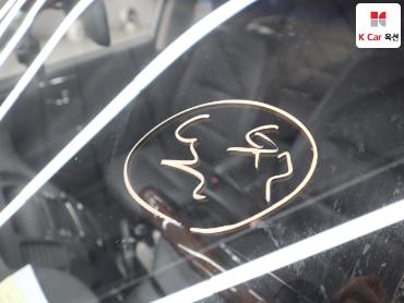 2010 - hyundai grandeur