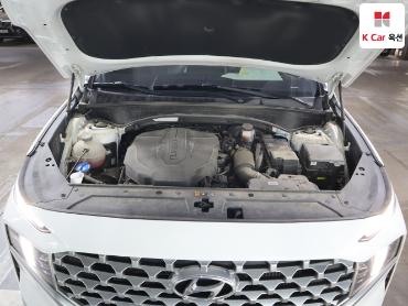 2021 - hyundai santa fe