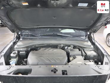 2019 - hyundai santa fe