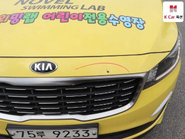 2019 - kia carnival